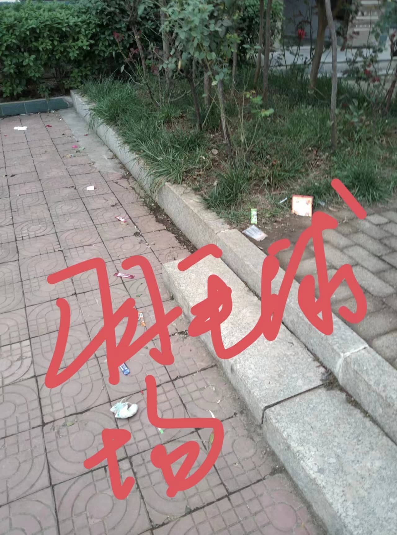 今日板小2023.11.10(图7)