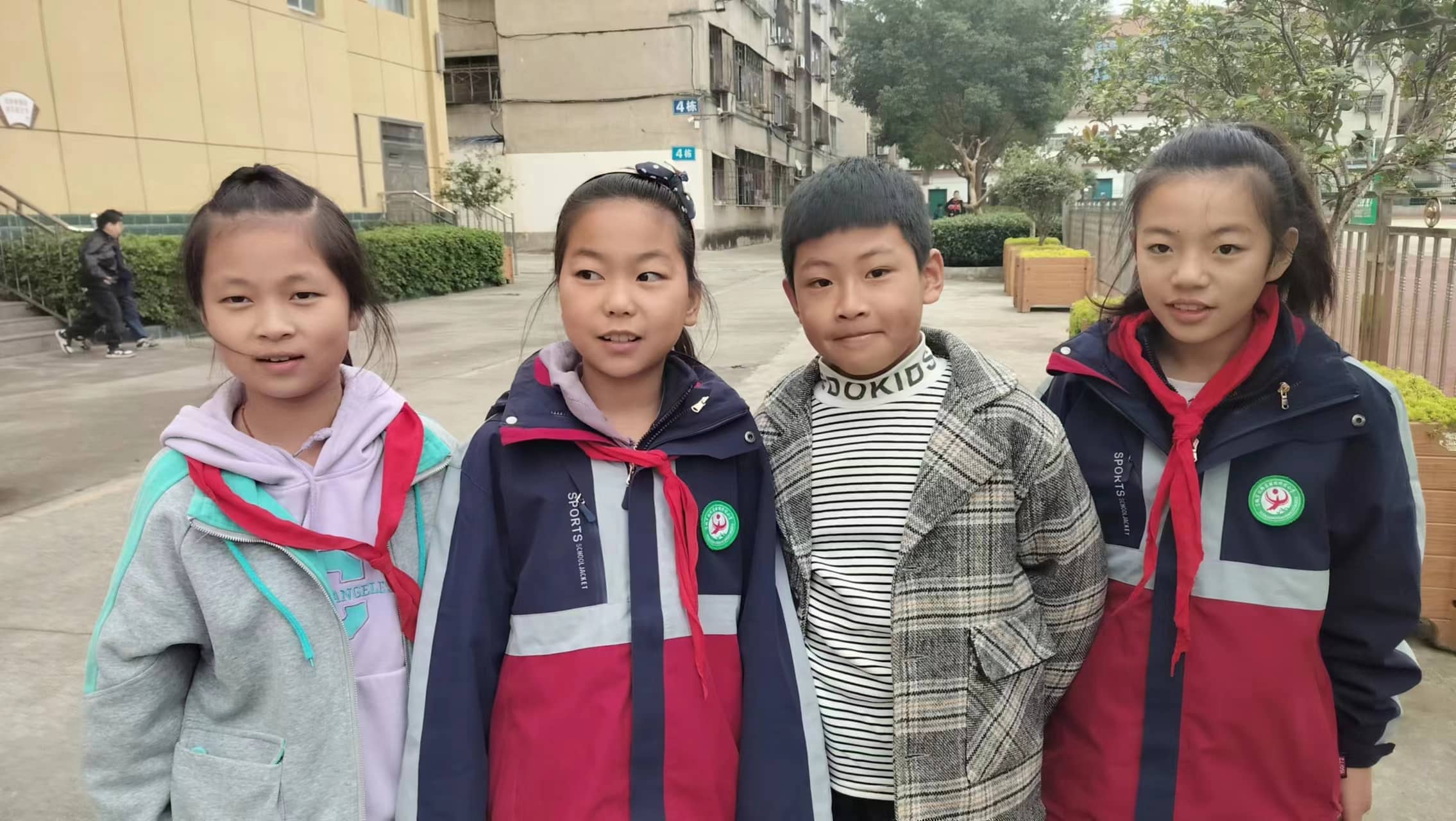 今日板小2023.11.10(图8)