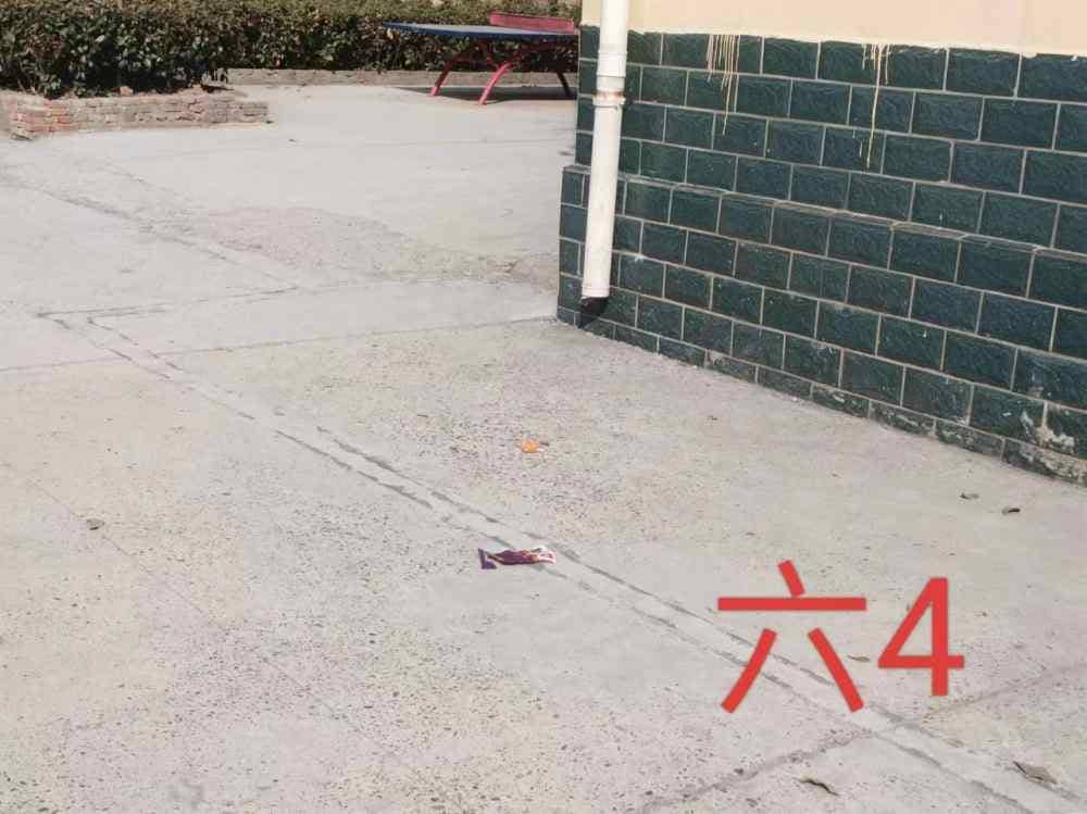 今日板小2024.3.12(图5)