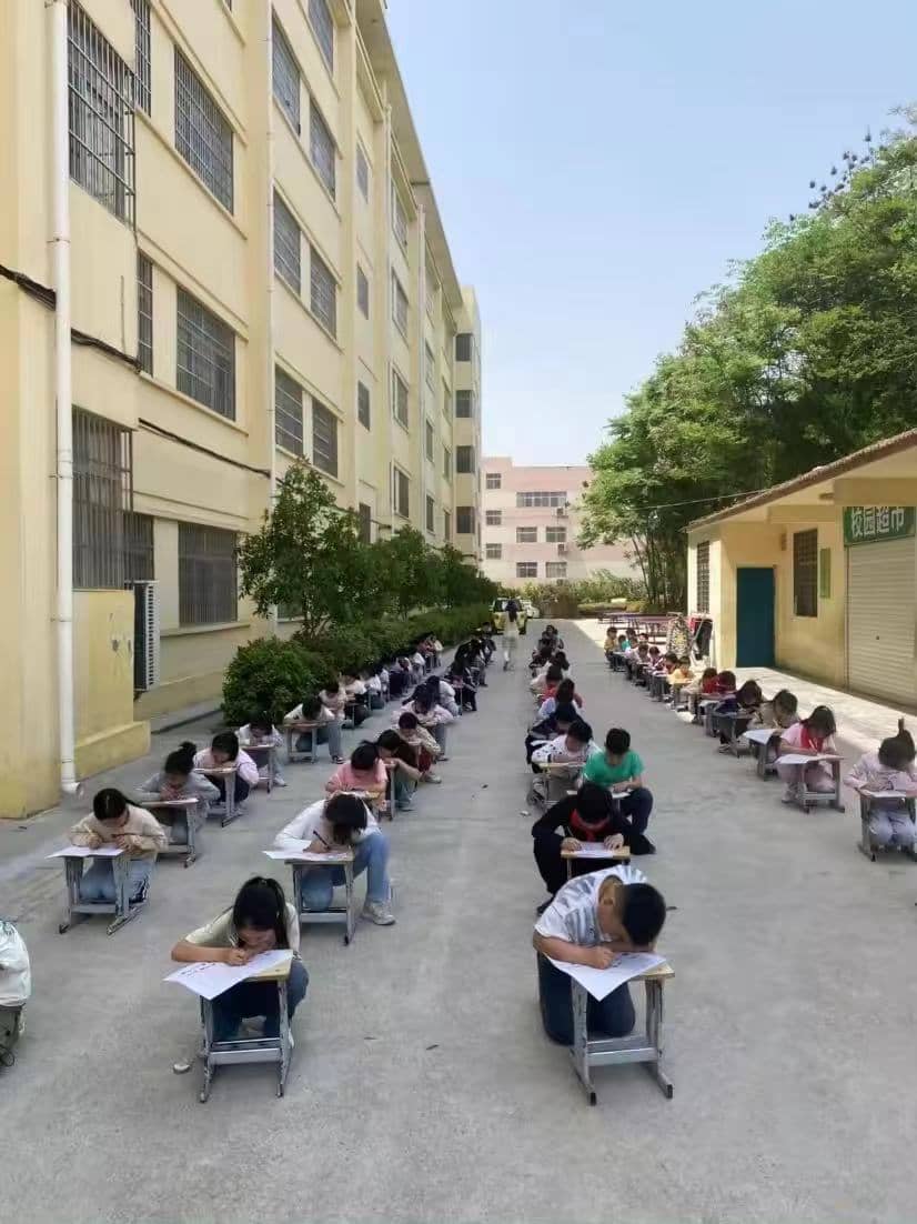今日板小2024.4.23(图2)