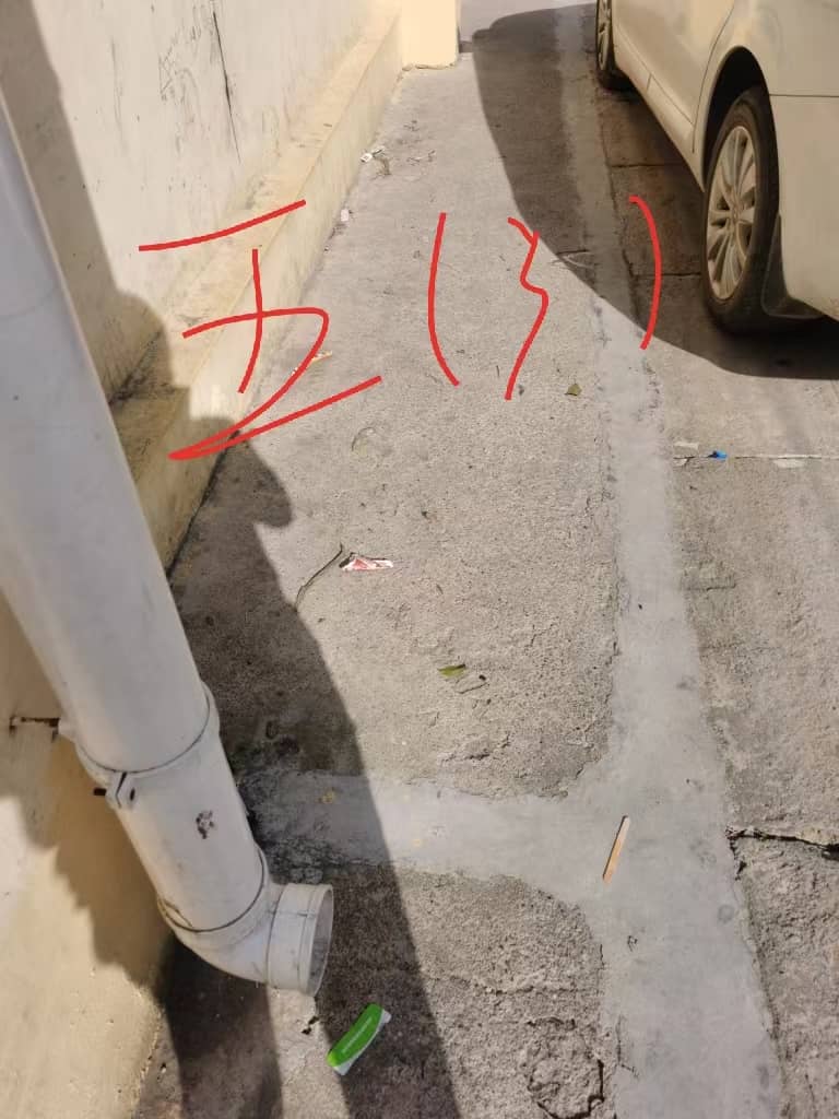 今日板小2024.5.14(图3)