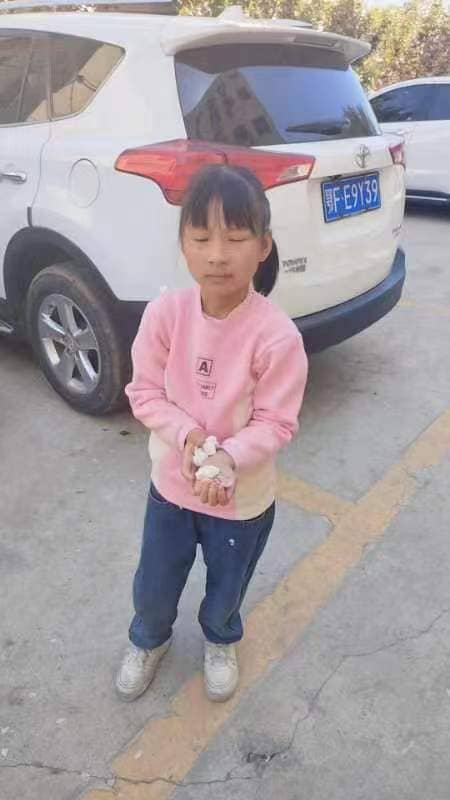 今日板小2024.4.9(图12)