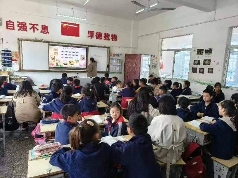 今日板小2024.4.9(图14)